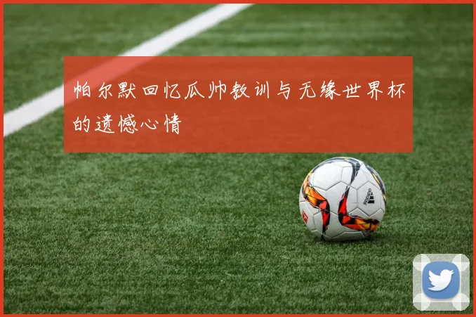 帕尔默回忆瓜帅教训与无缘世界杯的遗憾心情